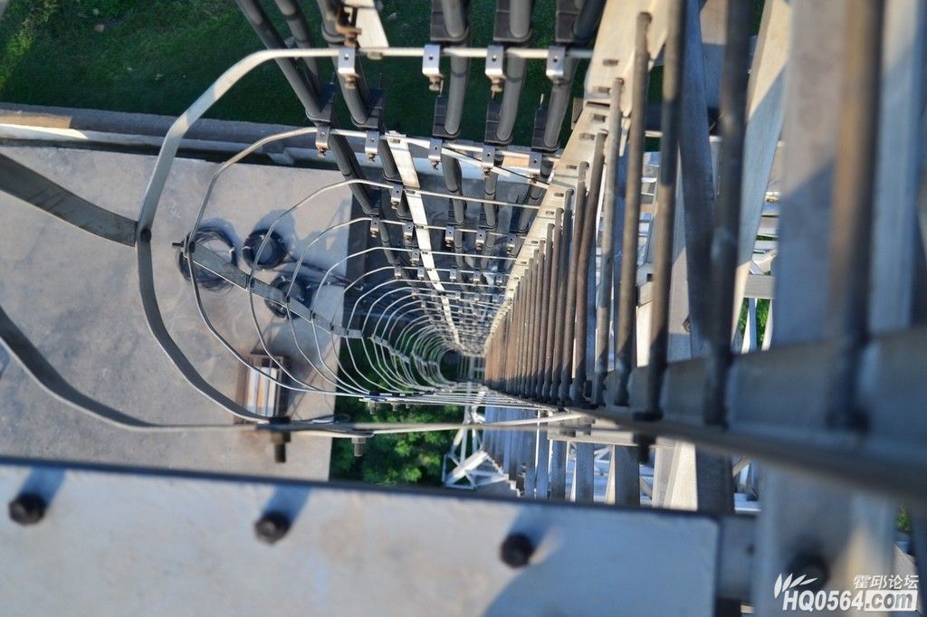DSC_8685.JPG