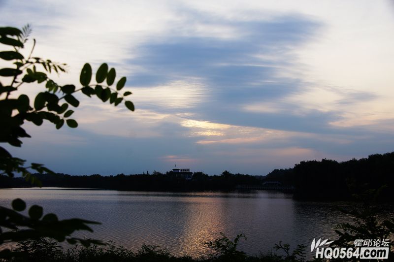 DSC08263.JPG