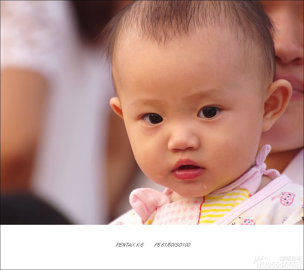 IMGP3318.jpg
