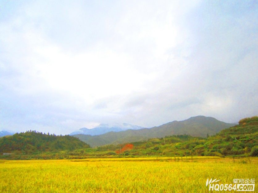 QQ��ͼ20121207221850.jpg