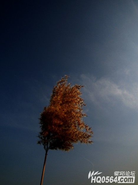 QQ��ͼ20121209230138.jpg