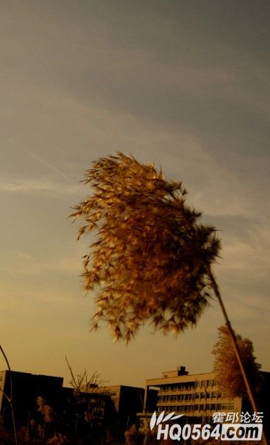 QQ��ͼ20121209230310.jpg