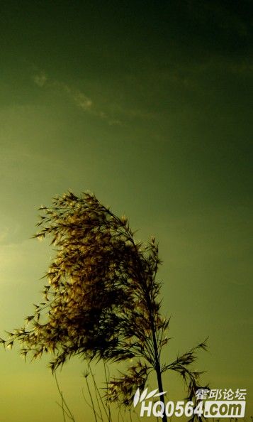 QQ��ͼ20121209230330.jpg