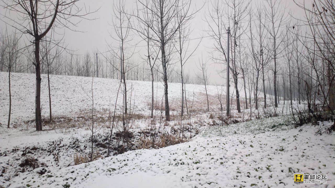 2012-12-29-0254.JPG