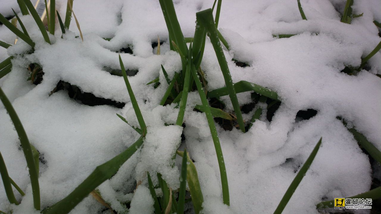 2012-12-29-0258.JPG