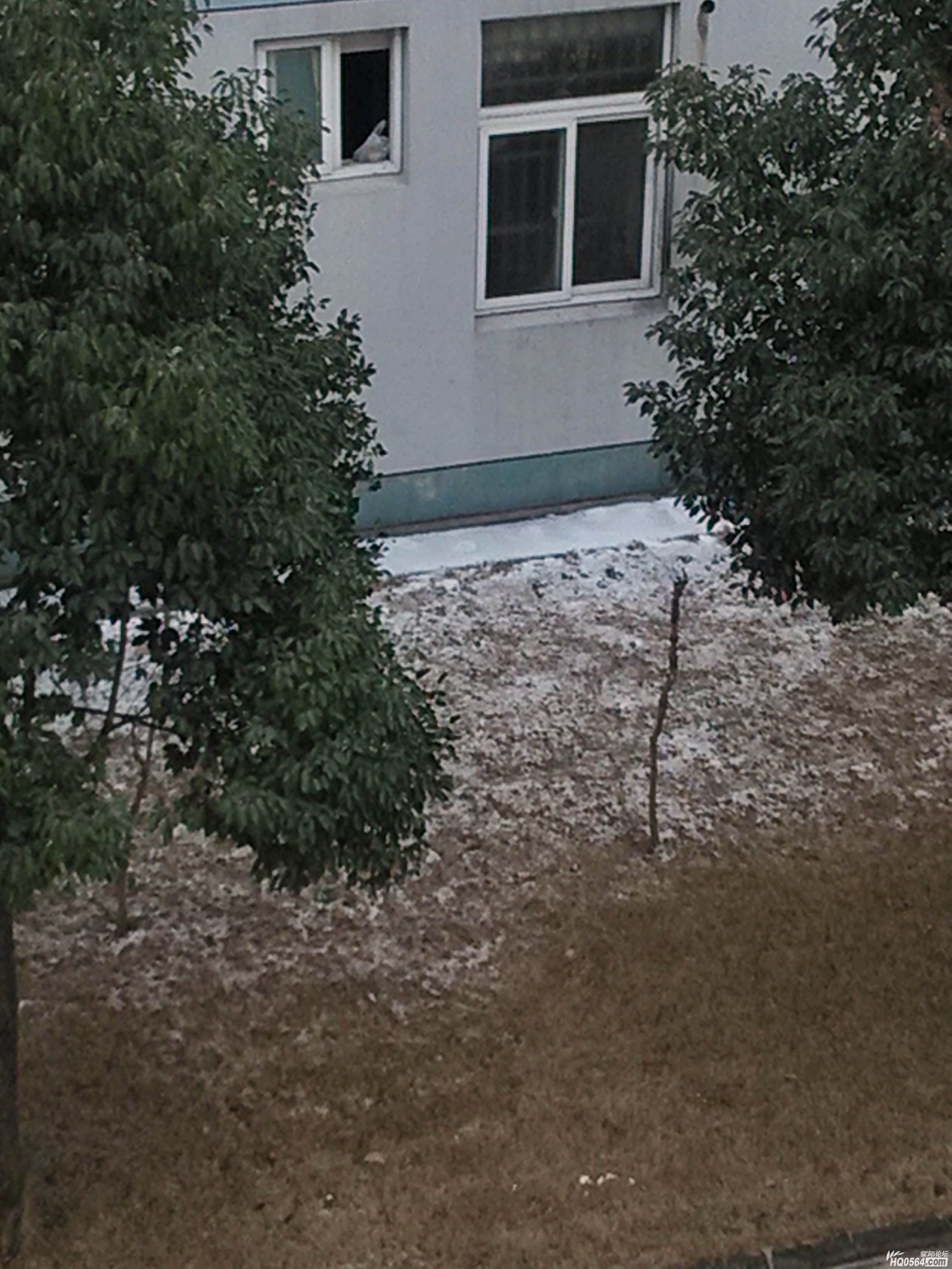 IMG_20121230_122948.jpg