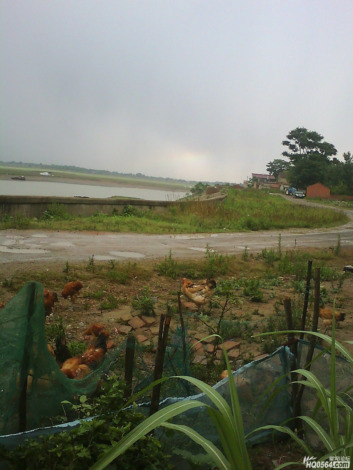 IMG0453A.jpg