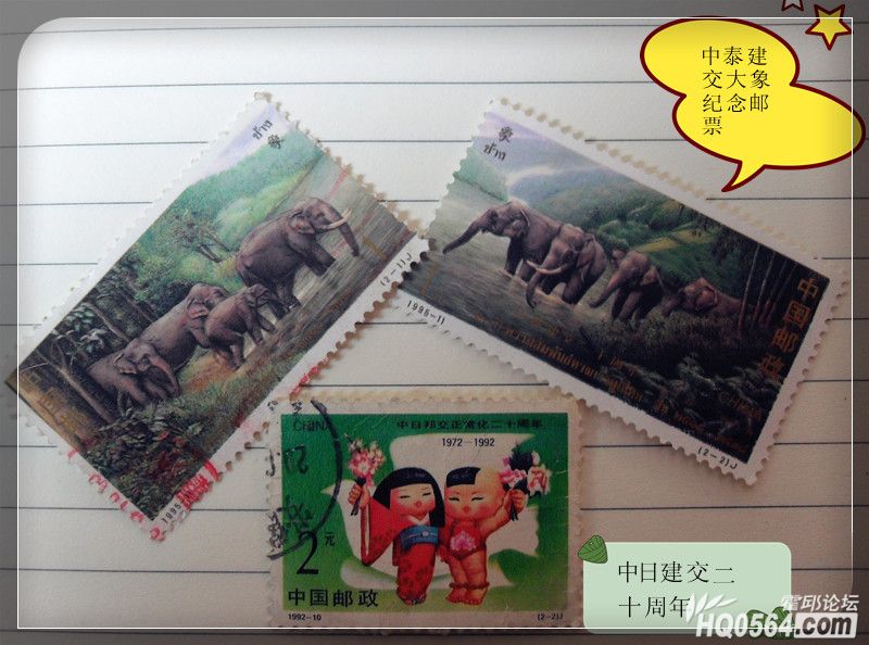 SDC15396.jpg