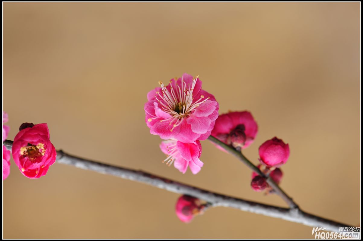 20130224 167.jpg