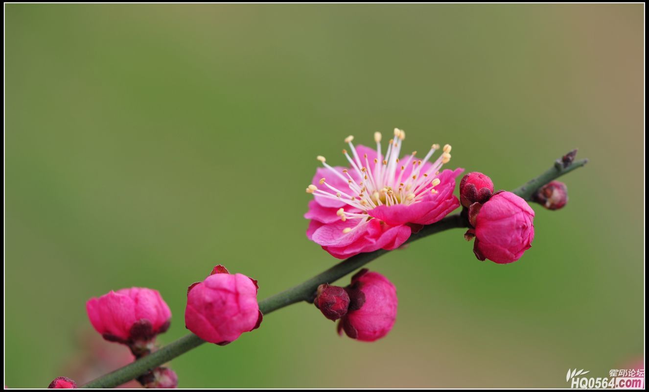 20130224 187.jpg