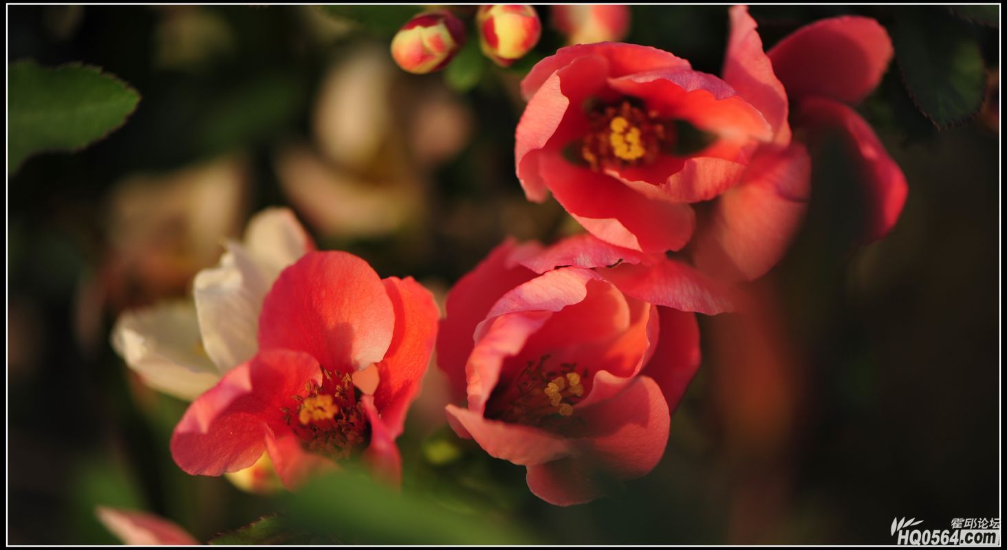 20130306 118.jpg