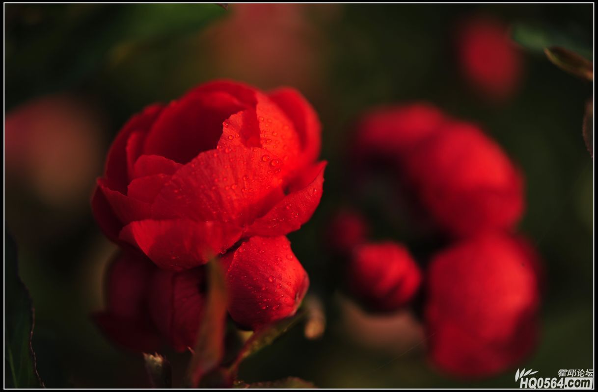 20130306 143.jpg