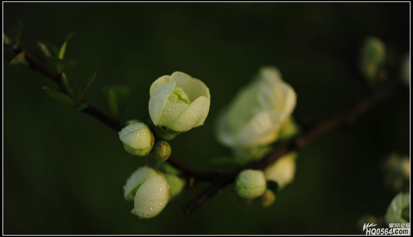 20130306 145.jpg
