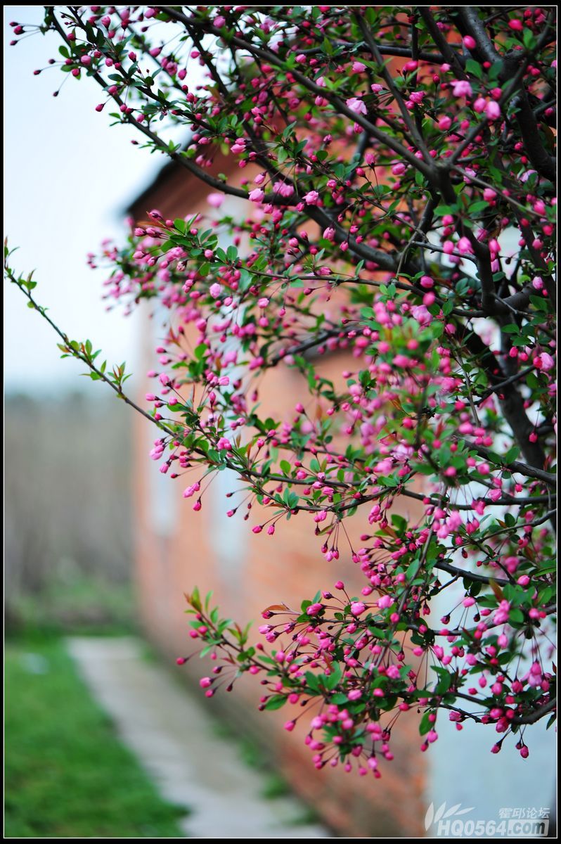 20130318 121.jpg