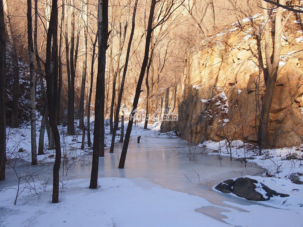 P1266542.JPG
