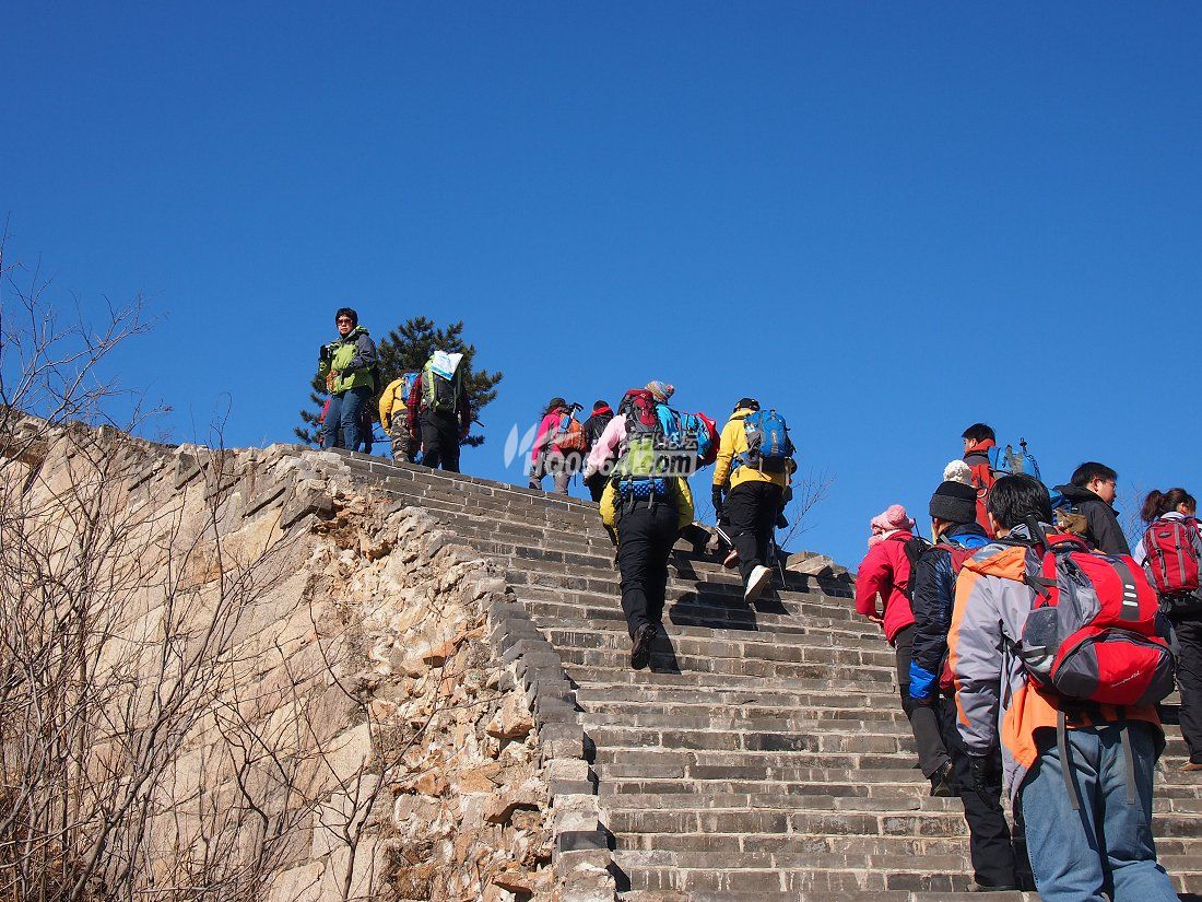 P1266614.JPG