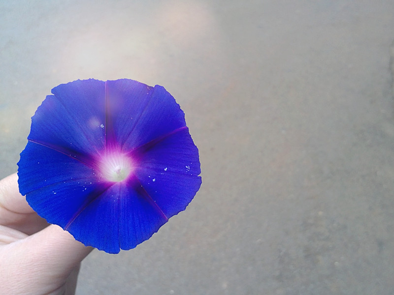 201210.jpg