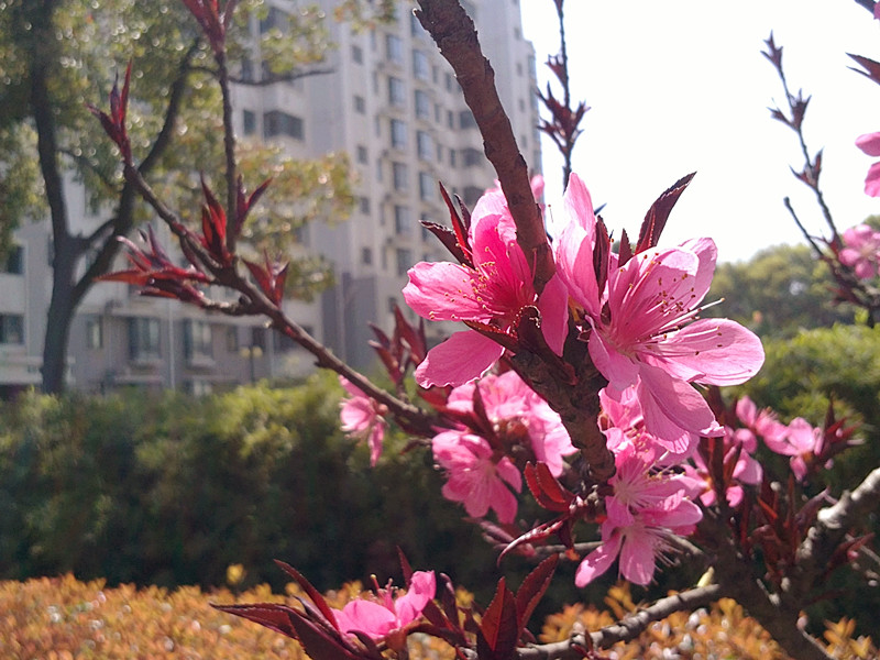 20120403922.jpg