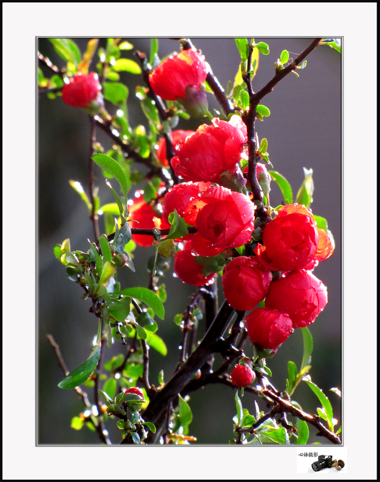 2013.3.31.04.jpg