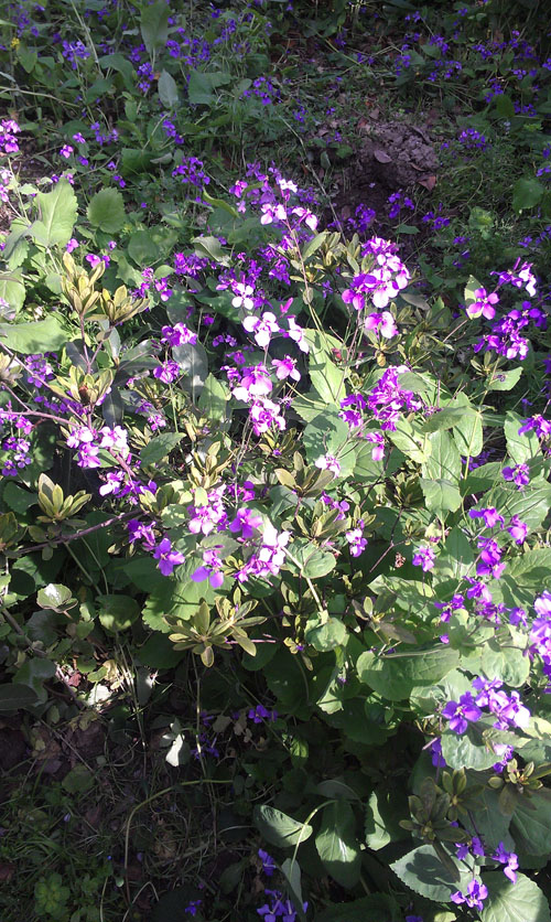 IMAG0542.jpg