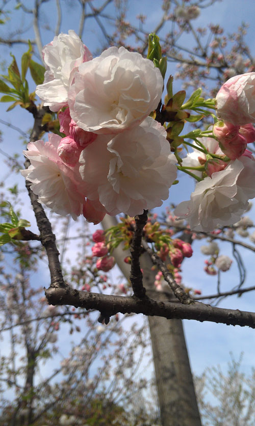 IMAG0544.jpg