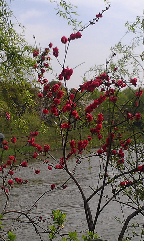IMAG0548.jpg