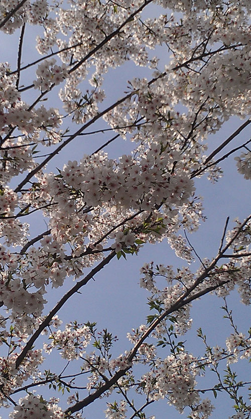 IMAG0550.jpg