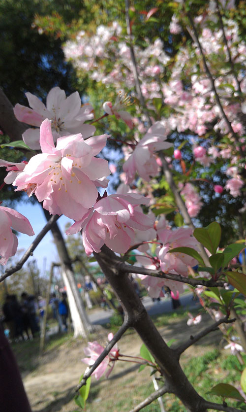 IMAG0552.jpg