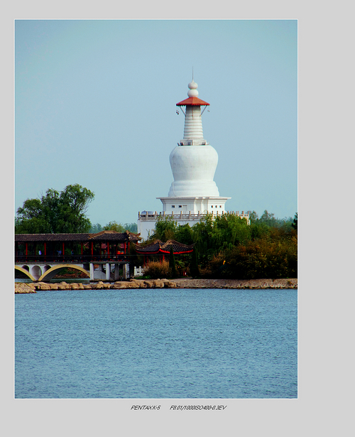 IMGP8584-1.jpg