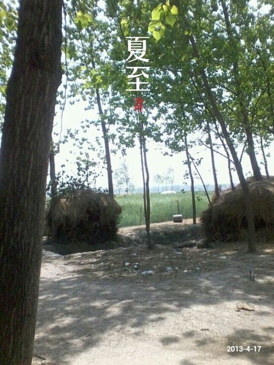 MA201304171153170076-02-00fa00.jpg