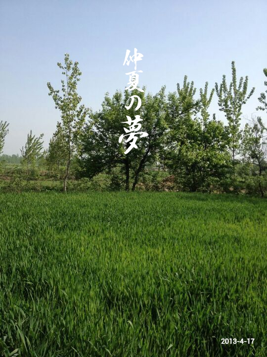 MA201304171154560036-02-00da00.jpg