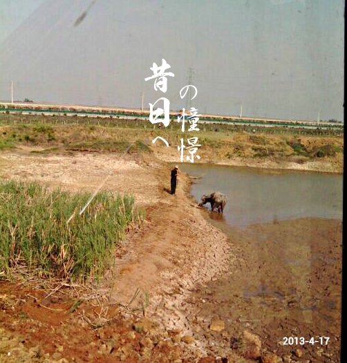 MA201304171204470093-03-1fd500.jpg