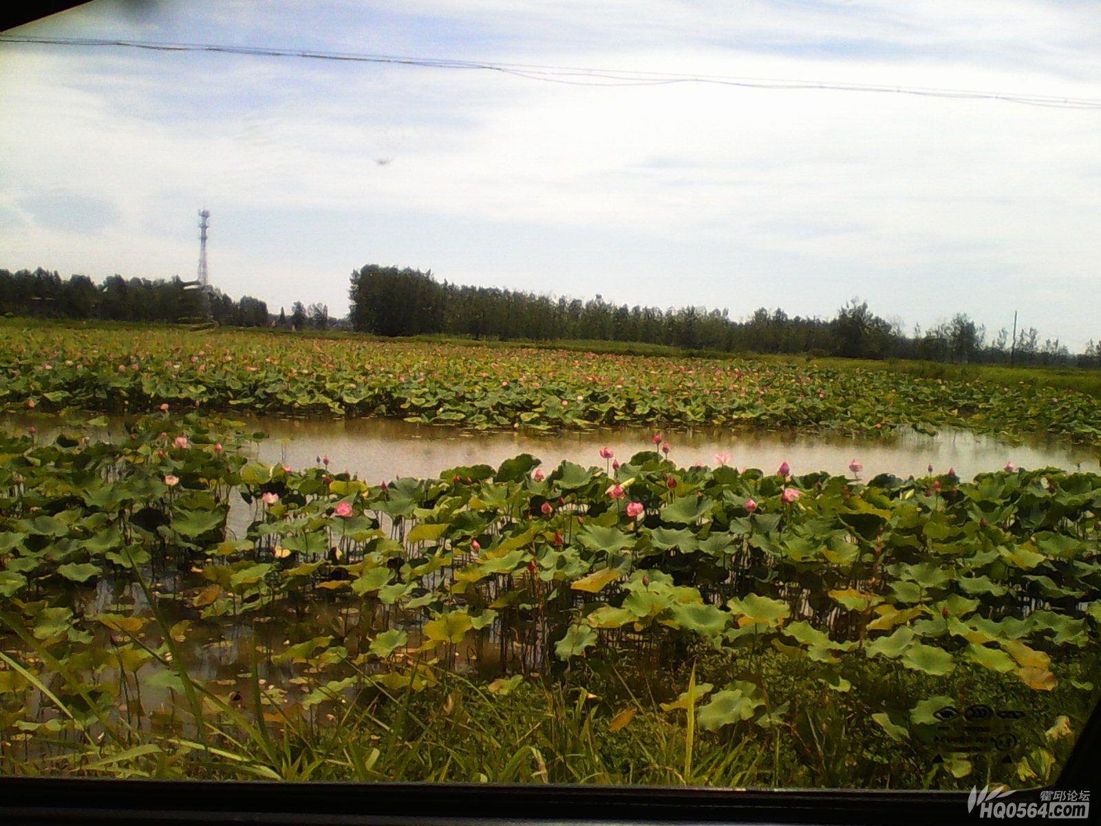 IMG_20130702_130043.jpg