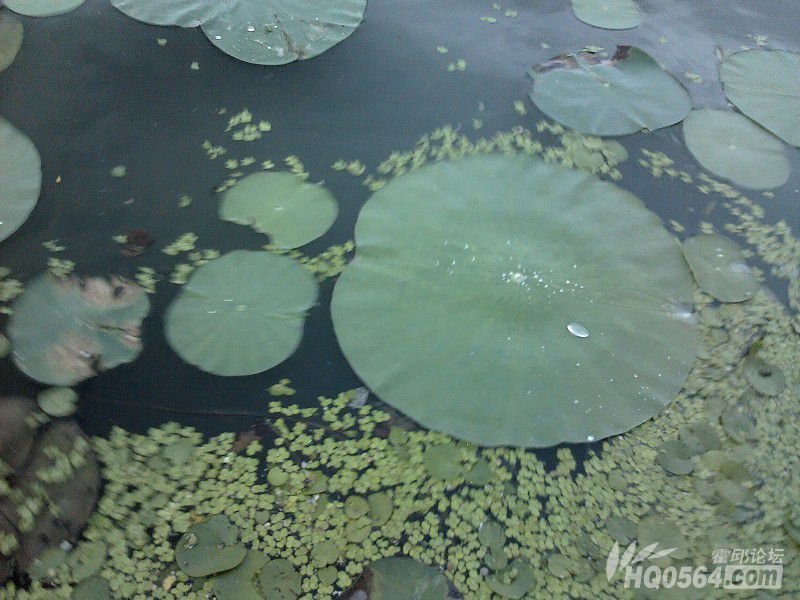 psb.jpg5.jpg