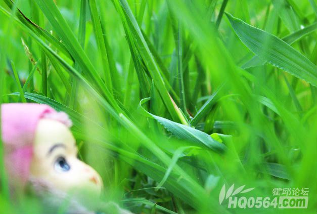 3_meitu_3.jpg