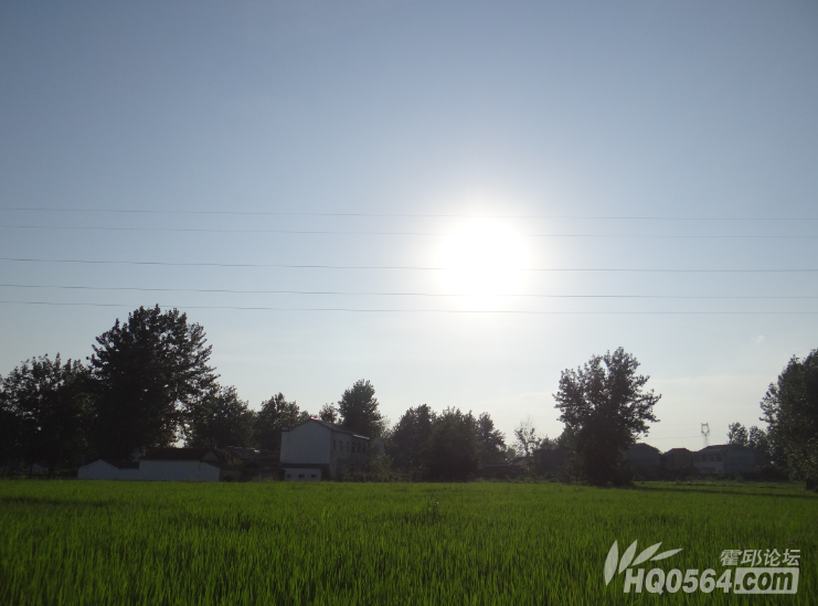 4.png
