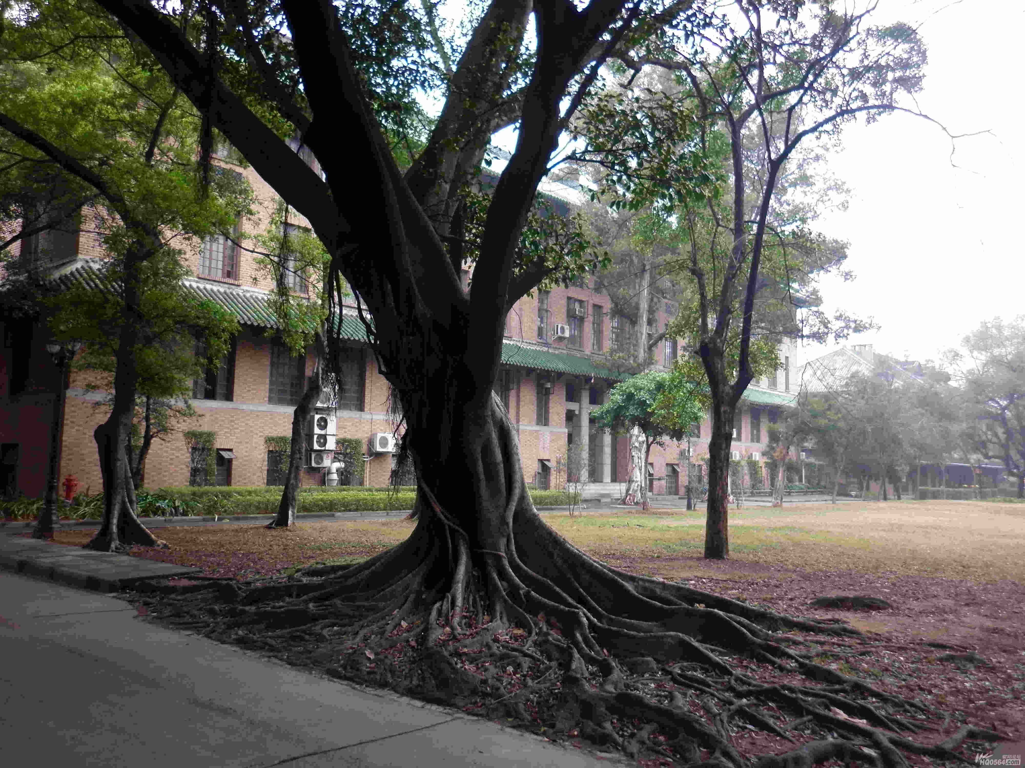 FILE0277.jpg