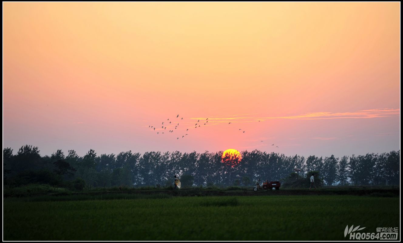 20130807 062.jpg