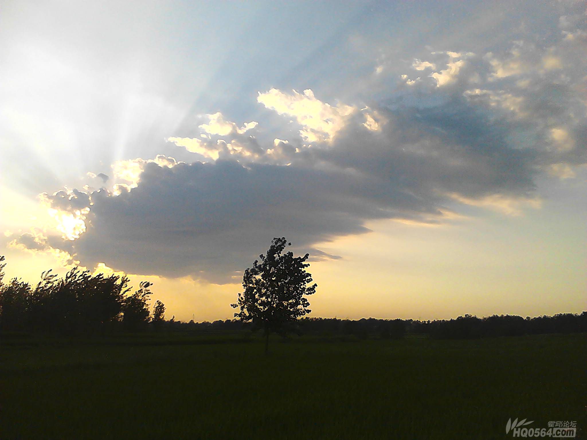 IMG_20130815_181250.jpg