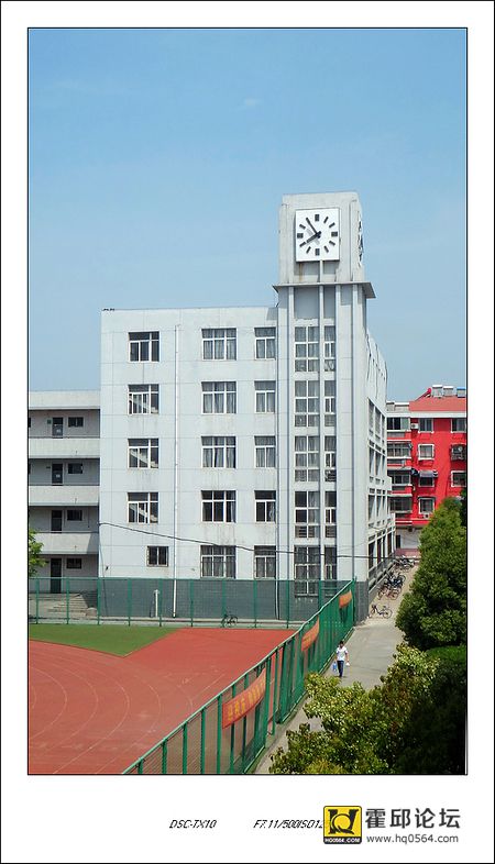 46.jpg