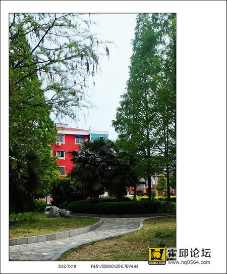 58.jpg