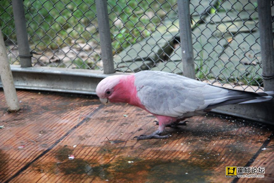 nEO_IMG_IMG_1802.jpg