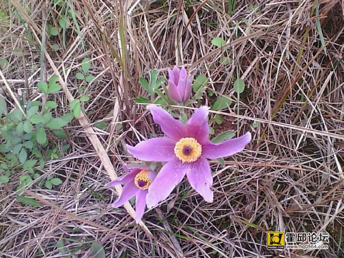 ͼƬ 025.jpg
