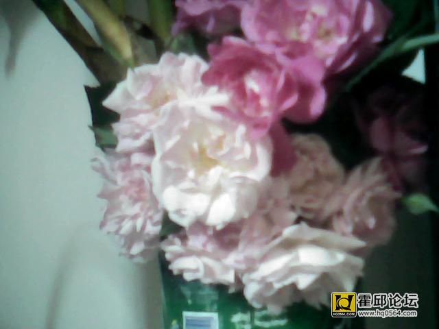 ͼƬ 005.jpg