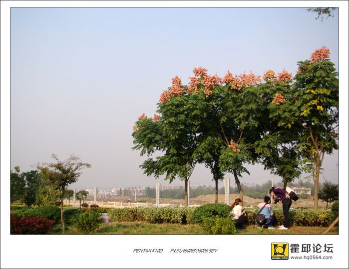 IMGP7945.jpg