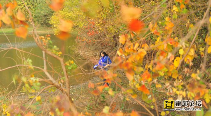 20131103 211.jpg