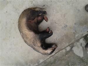 20131114_100921.jpg