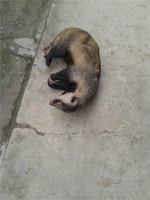 20131114_100945.jpg