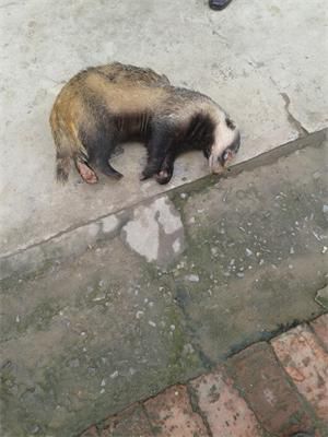 20131114_101150.jpg