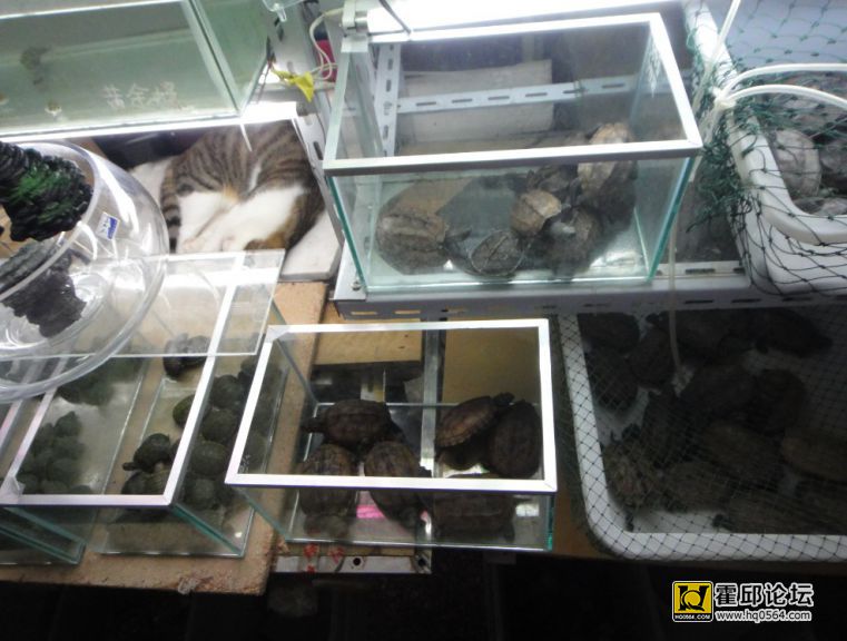 QQ��ͼ20131226121334.jpg